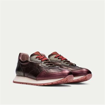 Hispanitas Kansas Bungee Lace Trainer - Metallic Multi